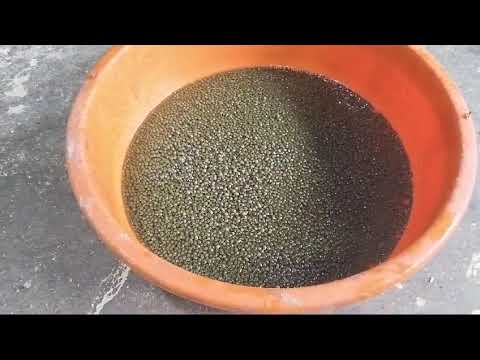 Fish Feed Making Machine