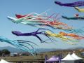 Berkeley Kite Festival Octo Kite Flying