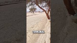 Download lagu Why Can Sand in the Desert Walk? #shorts mp3