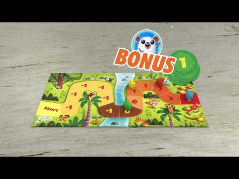 Racing Hedgehogs - How to play