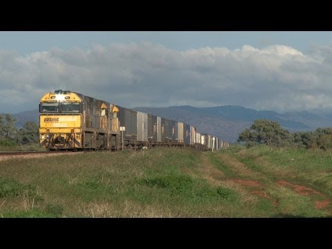South Australian rail action : Australian Railways