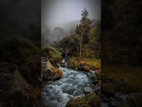 Disfruta de la belleza impresionante de un río envuelto en niebla en pelechuco La paz Bolivia #viaje