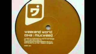 weekend world - milkweed