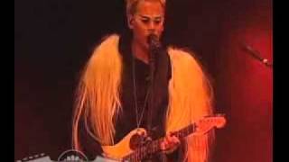 Presentación - Empire of the Sun en el Vive Latino 2010 - Tiger By My Side