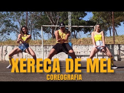 XERECA DE MEL - SHEVCHENKO E ELLOCO E MC MARI  | CIA JOÃO PRADO | COREOGRAFIA