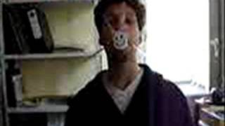 The Flight of the Bumblebee