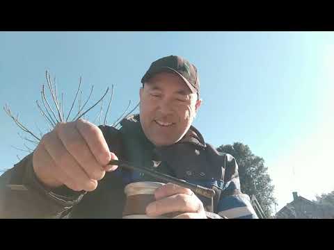 JUNCAL CAPITAL DE LA AMISTAD - Unas niñas querían mi moto