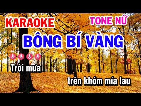 Karaoke Bông Bí Vàng | Nhạc Sống Tone Nữ Dễ Hát | Karaoke Tuấn Cò