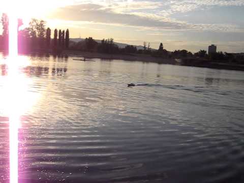 Victory EP 700 with rudder and modified ESC