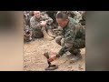 Army Man Hypnosised The Snake Snake Army Viral Shorts