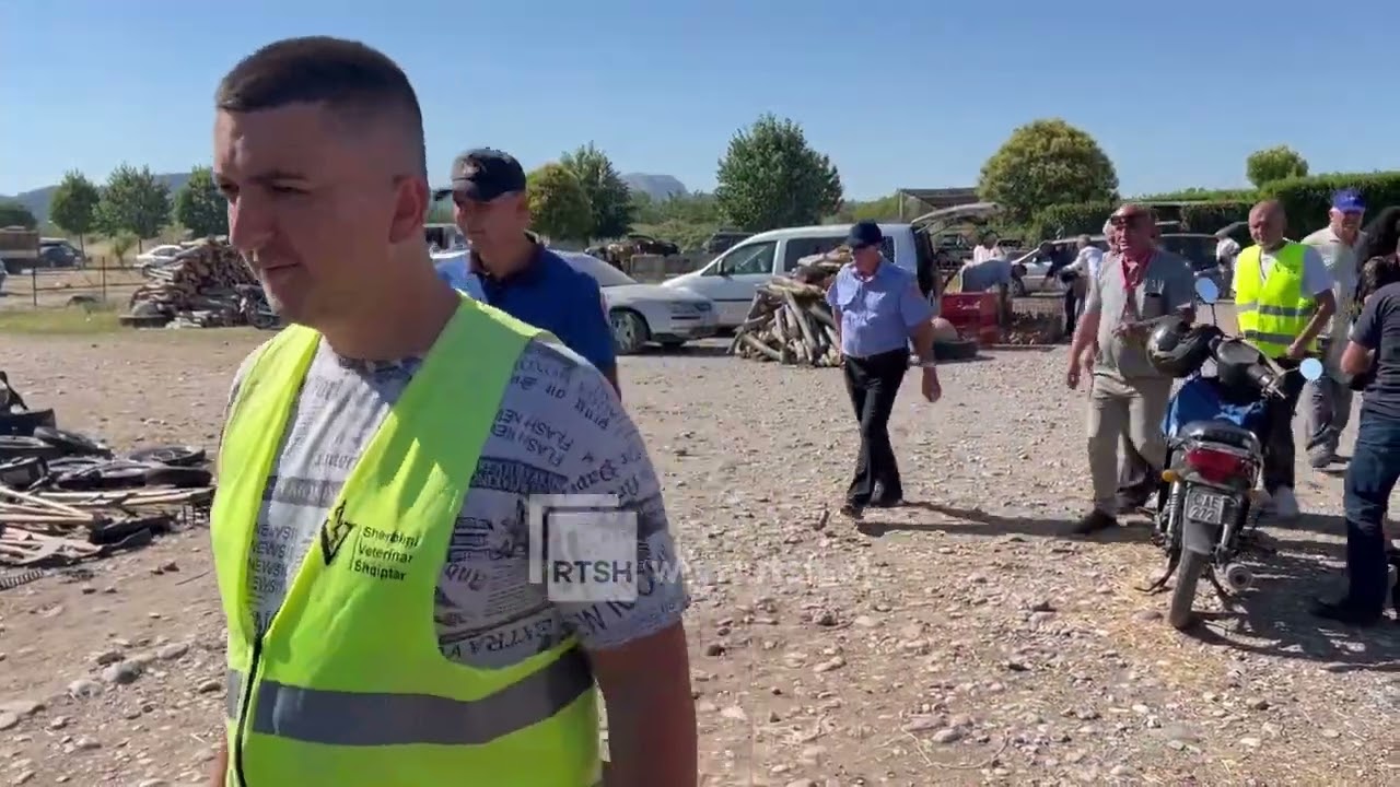 Murtaja e ruminantëve, prej muajsh nuk është konstatuar asnjë rast pozitiv në Shkodër