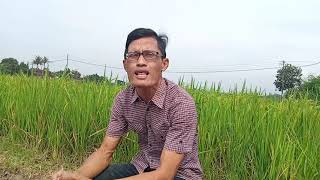 Download lagu D'LlYOD - Pop Keroncong Apa Salah Dosaku - || RYAN Raihan COVER mp3 Download lagu D'LlYOD - Pop Keroncong Apa Salah Dosaku - || RYAN Raihan COVER mp3
