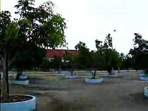 Description de la vidéo
