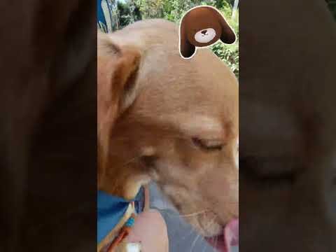 passeio em Angra dos Reis RJ, folga do posto.