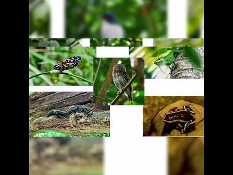 4 El Yunque de Baracoa