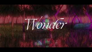 Wonder song artwork