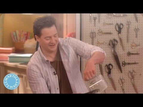 Brendan Fraser: Berita, Foto, Video, Lirik Lagu, Profil 