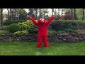 Elmo YMCA Entertainment For Kids
