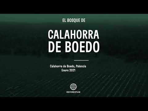 Reforestum - Calahorra de Boedo (spanish)