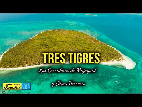Tres tigres - Los Corraleros De Majagual y Eliseo Herrera (Video Letra) | Discos Fuentes