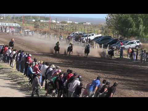 MOGAMBO  Club Hípico Cipriano Catriel - Catriel - 23-04-2023