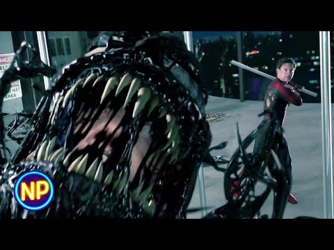 Venom's Weakness | Spider-Man 3