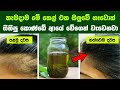 කොණ්ඩේ වැවීම වේගවත් කරගන්න හොඳම ස්වභ�