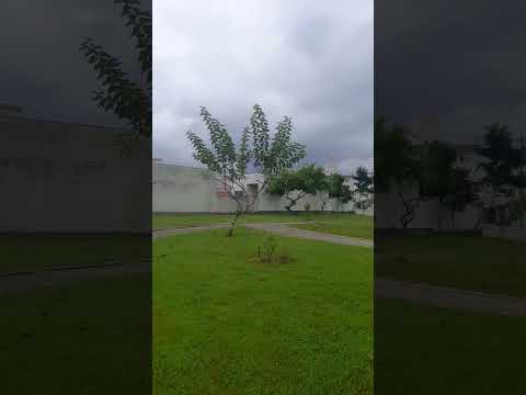 bairro joaia tijucas sc 7 horas da manhã