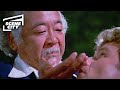 The Karate Kid Part 2: No Mercy (PAT MORITA, MARTIN KOVE SCENE 4K ULTRA HD)