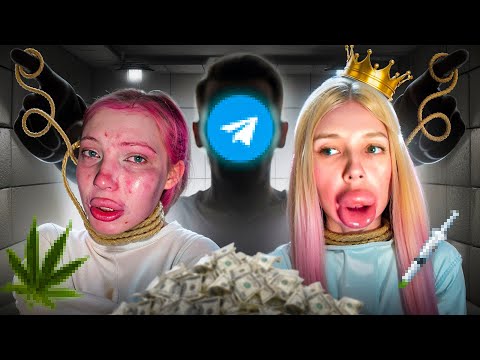 Telegram Shock Bloggers: Full Breakdown & Transcript