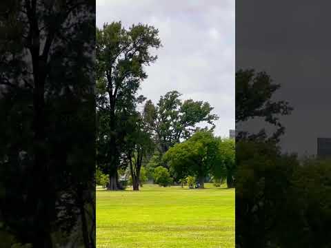 Qué bueno que hayan aprovechado el campo de golf para hacer un parque público en #sanisidro #shorts