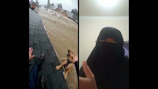 Download lagu tolong selamatkan la mereka berdua #cat #dog #sedih #reaction #shorts mp3