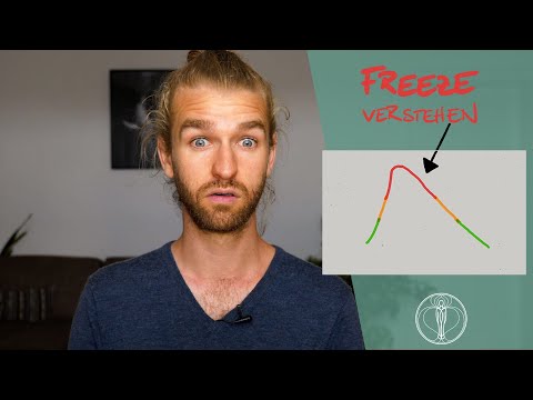FREEZE verstehen - Polyvagal Theorie für Körperarbeiter