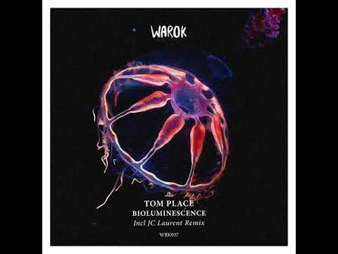 Tom Place - Destructive Sequences (JC Laurent Remix)