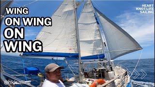 WING ON WING ON WING |sailig from San Juan Puerto Rico to Luperon Dominican Republic EP 130