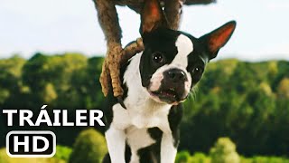 Trailer Preview Image