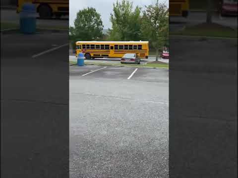 2019 Blue Bird All American