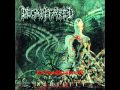 Decapitated - nihility (anti-human manifesto)