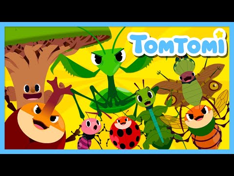 Strange and Amazing Insects & Plants😲 | Unusual Insects | Animal Song | Kids Song | TOMTOMI
