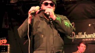 ''RAINY DAY'' - JOHN NEMETH and The Blue Dreamers @ Callahan's, April 2016