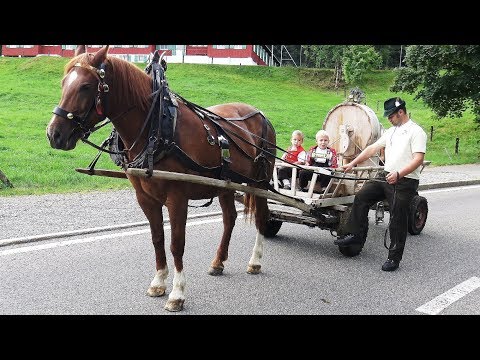 Alpabfahrt Schwäg- und Potersalp 11.8.2018