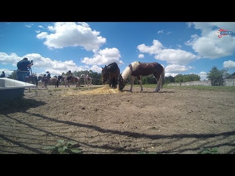 SIEWIERZ - TU NUDA NIE OBOWIĄZUJE - Gościniec Siewierski