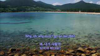 Stranger on the Shore - Andy Williams  || with lyrics (영어가사/한글번역)