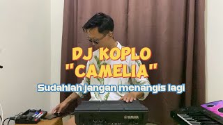 Download lagu SUDAHLAH JANGAN MENANGIS LAGI | DJ KOPLO CAMELIA 2 mp3