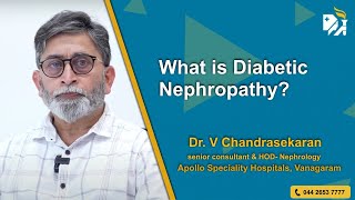 Insulin Therapy Explained