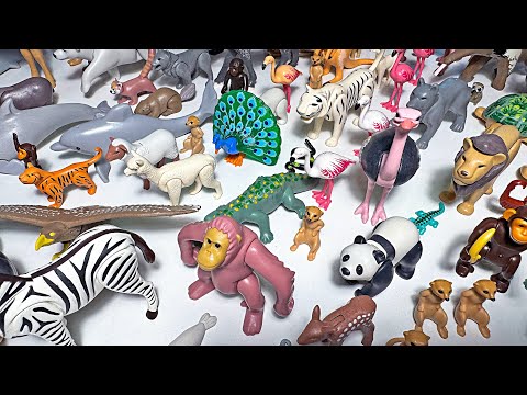 Playmobil Sea Animal & Wild Animal Toys - Shark, Dolphin, Seal, Sea Turtle, Panda, Peacock, Lion