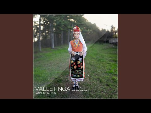 Ti Moj Hena Lozonjare