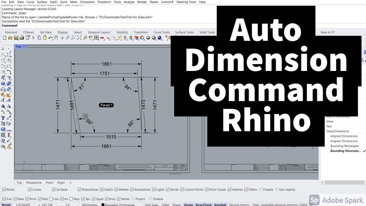 Auto Dimension Command for Rhino