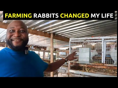 , title : 'Zimbabwean Farmer Built a Successful Rabbit Business In Harare'