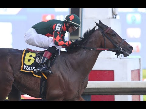 WALKOFF - Copa Invitacional De Importados 2021